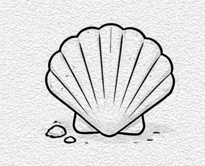 Seashell