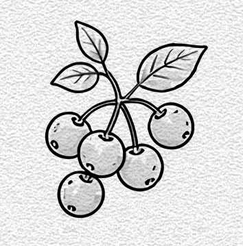 Wild Berries