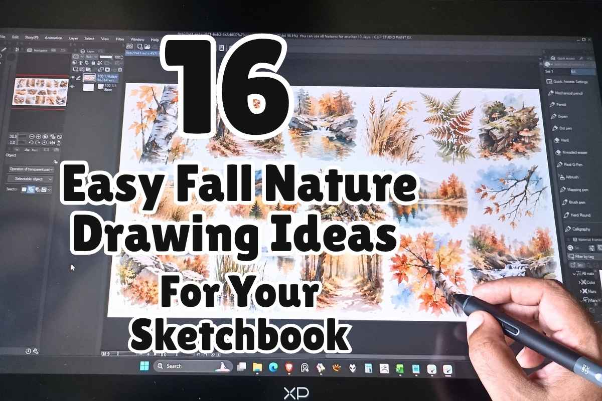 16 Easy Fall Nature Drawing Ideas for Your Sketchbook