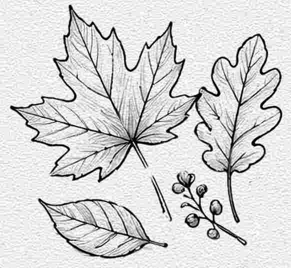 Autumn Leaves