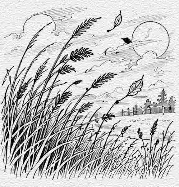 Autumn Windblown Meadow