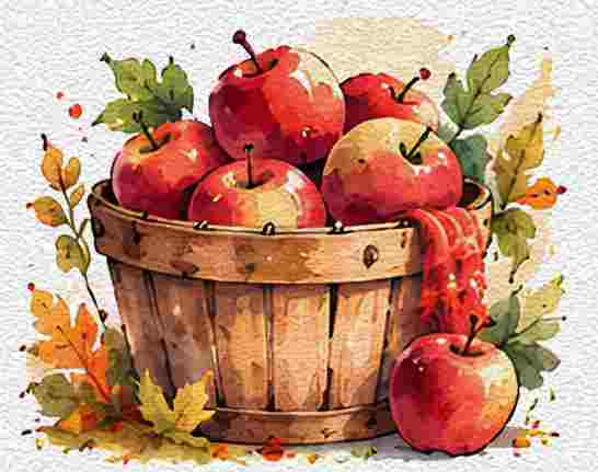 Fresh Apple Basket