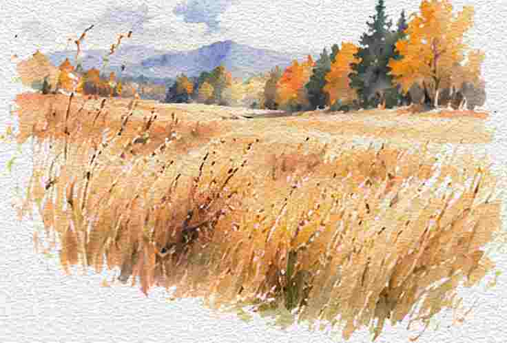 Golden Meadow in Fall